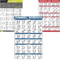 3 Charts Band WORKOUT RESISTANCE LOOP WORKOUT DUMBBELL WORKOUTS Exercise Routine 50x70cm No Frame