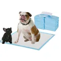 100 Pcs 60X60cm Puppy Pet Indoor Toilet Training Pads