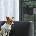 Mini Outdoor Sonic Dog Bark Control Devices Ultrasonic Training Dog Stop Barking