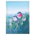 Maxwell & Williams Birds of Australia KC 10yr Anniversary Tea Towel 50x70cm in Rose Robin Print Assorted