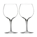 Waterford Elegance Pinot Gris/Grigio Set of 2 Wine Glass