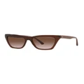 Emporio Armani EA4169 Brown Sunglasses Brown