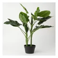 Vue Philodendron Artificial Plant 80cm in Green