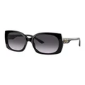 Dolce & Gabbana DG4385 Black Sunglasses Assorted
