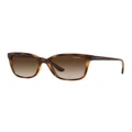 Vogue VO5426S Brown Sunglasses Brown One Size