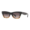 Celine CL4004IN Black Sunglasses Brown