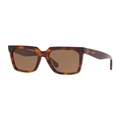 Celine CL4055IN Tortoise Polarised Sunglasses Brown