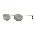 Ray-Ban New Round Gold Polarised Sunglasses Gold