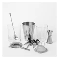 Vue Refresh Cocktail and Glass Shaker Set in Silver