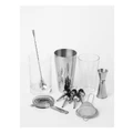 Vue Refresh Cocktail and Glass Shaker Set Silver