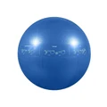 Gofiit Proball Blue 55cm Stability Ball