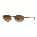 Persol PO2491S Brown Polarised Sunglasses Brown