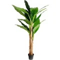 Living Today Banana Tree Artificial Plant 180cm Green