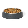 Snooza Concrete & Stainless Steel Pet Bowl in Charcoal Black S