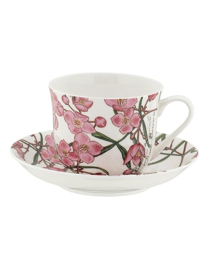 Maxwell & Williams Royal Botanic Gardens Cup & Saucer 450ml Boronia Gift Boxed in Multi Assorted