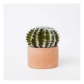 Vue Artificial Cactus in Cement Pot 17.5x12x12cm in Green/Terracotta Green