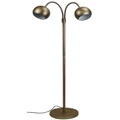 Oriel Lighting Bobo Twin Flexible Neck Floor Lamp in Bronze