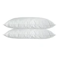 Royal Comfort Luxury Quilted Bamboo Pillow Twin Pack