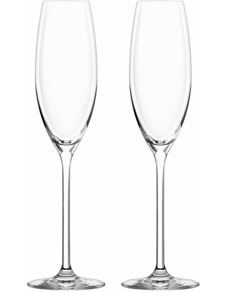 Maxwell & Williams Calia Champagne Flute Glass Gift Boxed 245ml Set of 2 in Clear