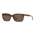 Michael Kors San Marino Sunglasses in Brown