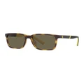 Polo Ralph Lauren 0PH4189U Sunglasses in Havana Grey
