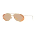 Burberry Alice Sunglasses in Brown