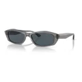Emporio Armani 0EA4187 Sunglasses in Shiny Transparent Grey