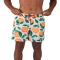 Coast Clothing Co Classic Boardshorts in Orange XL