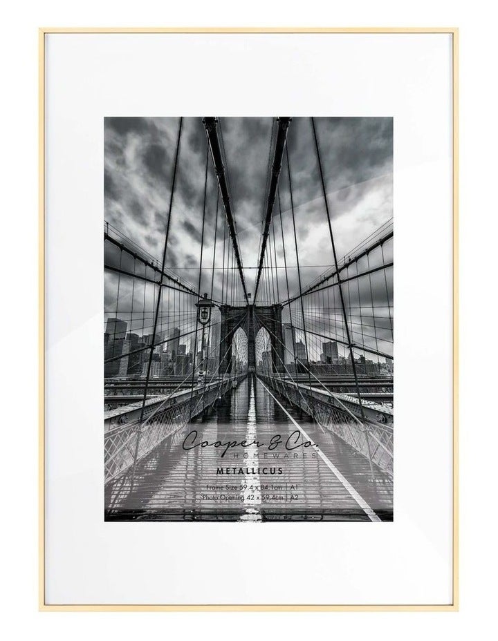 Cooper & Co Platinum Metal Frame A1/A2 in Gold