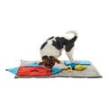 Kruuse Buster Canvas Activity Snuffle Mat in Multi Assorted