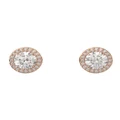 Swarovski Constella Stud Earrings Round Cut Pave Rose Gold-Tone Plated in White