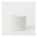Vue Paloma Ceramic Planter 11.7cm in White
