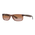 Ray-Ban Justin Classic Sunglasses in Brown One Size