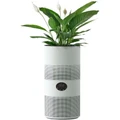 MyGenie Tower Air Purifier with Planter in White