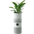 MyGenie Tower Air Purifier with Planter in White