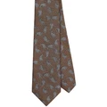 Van Heusen Black Label Paisley Tie in Brown One Size