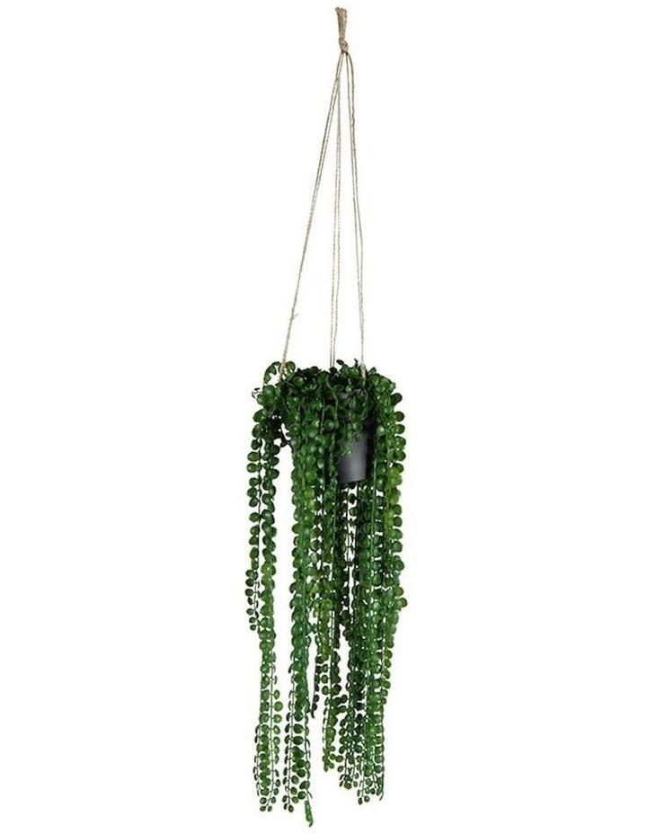 Willow & Silk Artificial Coin-Leaf Peperomia Hanging in Green