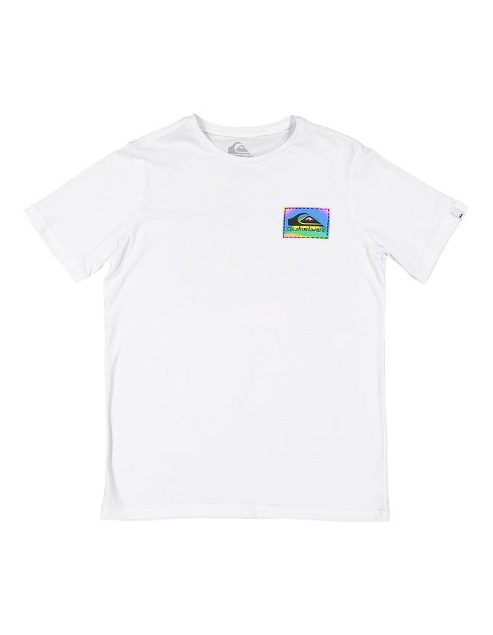 Quiksilver Colour Flow T-Shirt in White 16