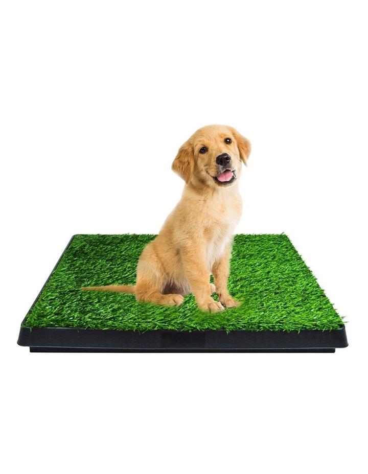Floofi Pet Grass Training Potty 63x50cm Green