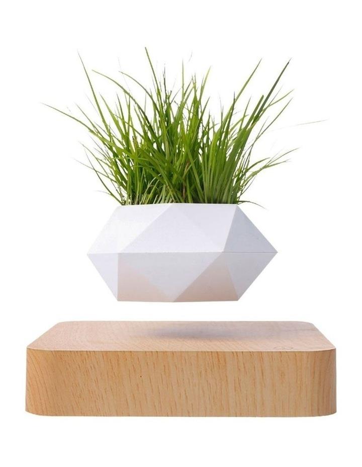 GOMINIMO Magnetic Levitating Rotate Pot Plant in White