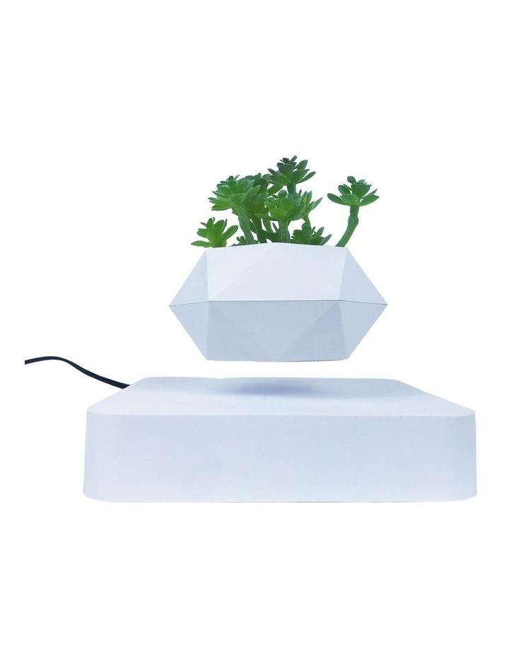 GOMINIMO Rotating Magnetic Levitating Indoor Pot plant in White