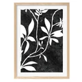 Profile Australia Silhouette Branch Leaves Night Art Print A2 Natural Frame White Border Brown