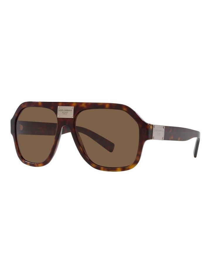 Dolce & Gabbana DG4433 Tortoise Sunglasses in Brown One Size