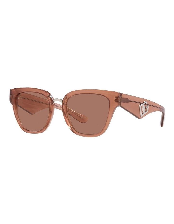 Dolce & Gabbana DG4437 Sunglasses in Brown One Size