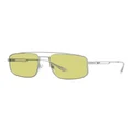 Emporio Armani EA2139 Sunglasses in Silver One Size