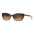 Coach CH566 Sunglasses in Tortoise Brown One Size