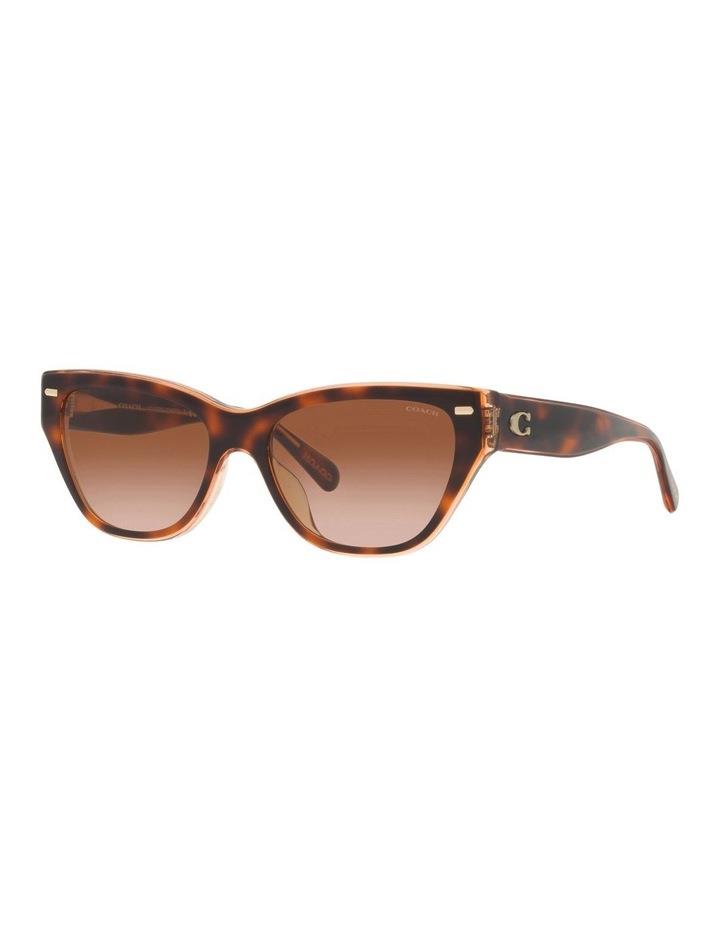 Coach CH570 Sunglasses in Tortoise Brown One Size