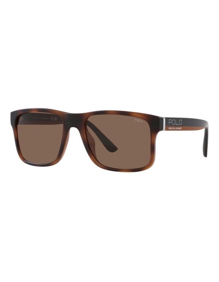 Polo Ralph Lauren PH4195U Sunglasses in Brown One Size