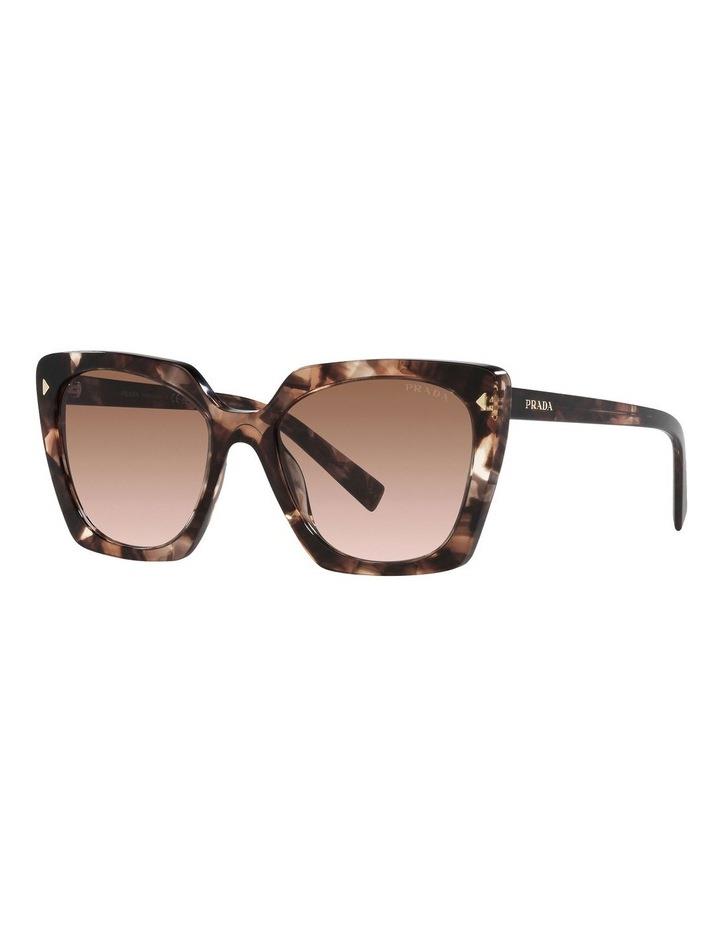 Prada PR 23ZS Tortoise Sunglasses in Brown One Size