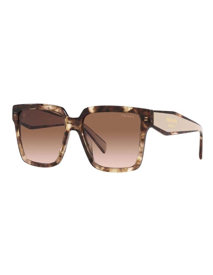 Prada PR 24ZS Tortoise Sunglasses in Brown One Size